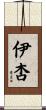 伊杏 Scroll