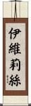 Ivelise Scroll