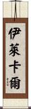 Eli Karl Scroll