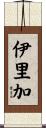伊里加 Scroll