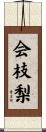 会枝梨 Scroll