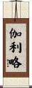 伽利略 Scroll