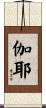 伽耶 Scroll