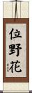 位野花 Scroll