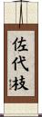 佐代枝 Scroll