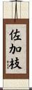佐加枝 Scroll