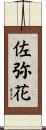 佐弥花 Scroll