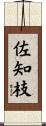 佐知枝 Scroll
