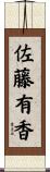 佐藤有香 Scroll