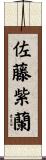 佐藤紫蘭 Scroll