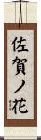 佐賀ノ花 Scroll