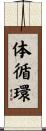 体循環 Scroll