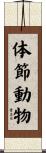 体節動物 Scroll