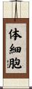体細胞 Scroll