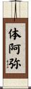 体阿弥 Scroll