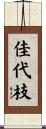 佳代枝 Scroll