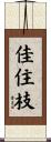 佳住枝 Scroll