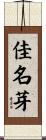 佳名芽 Scroll