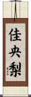 佳央梨 Scroll