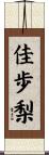 佳歩梨 Scroll