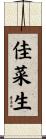佳菜生 Scroll