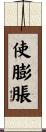 使膨脹 Scroll