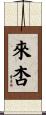 來杏 Scroll