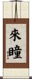 來瞳 Scroll