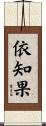 依知果 Scroll