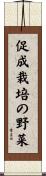 促成栽培の野菜 Scroll
