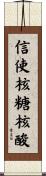 信使核糖核酸 Scroll