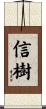 信樹 Scroll