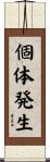 個体発生 Scroll
