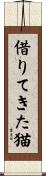 借りてきた猫 Scroll