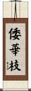 倭華枝 Scroll
