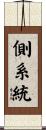 側系統 Scroll
