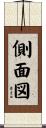 側面図 Scroll
