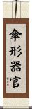 傘形器官 Scroll