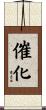 催化 Scroll
