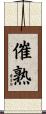 催熟 Scroll