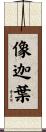 像迦葉 Scroll
