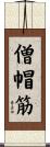 僧帽筋 Scroll