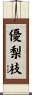 優梨枝 Scroll
