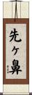 先ヶ鼻 Scroll