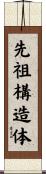 先祖構造体 Scroll