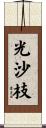 光沙枝 Scroll