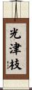 光津枝 Scroll