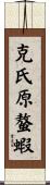 克氏原螯蝦 Scroll