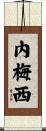 Nemesi Scroll