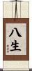 八生 Scroll